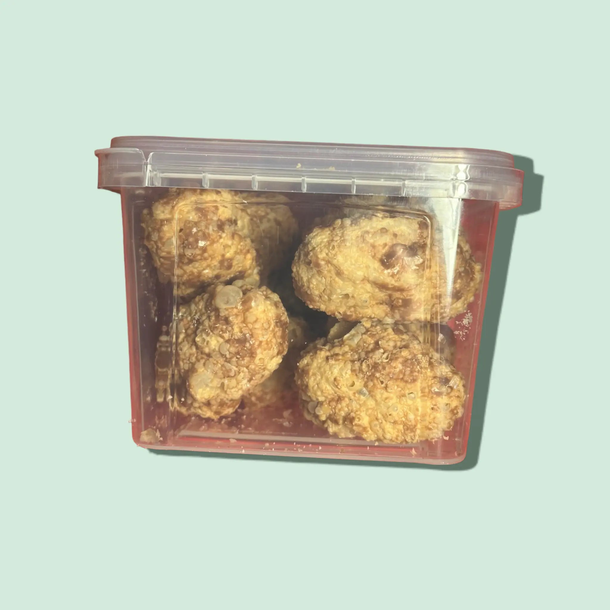 FREEZY DUDS 4 oz. - Freezy Treats